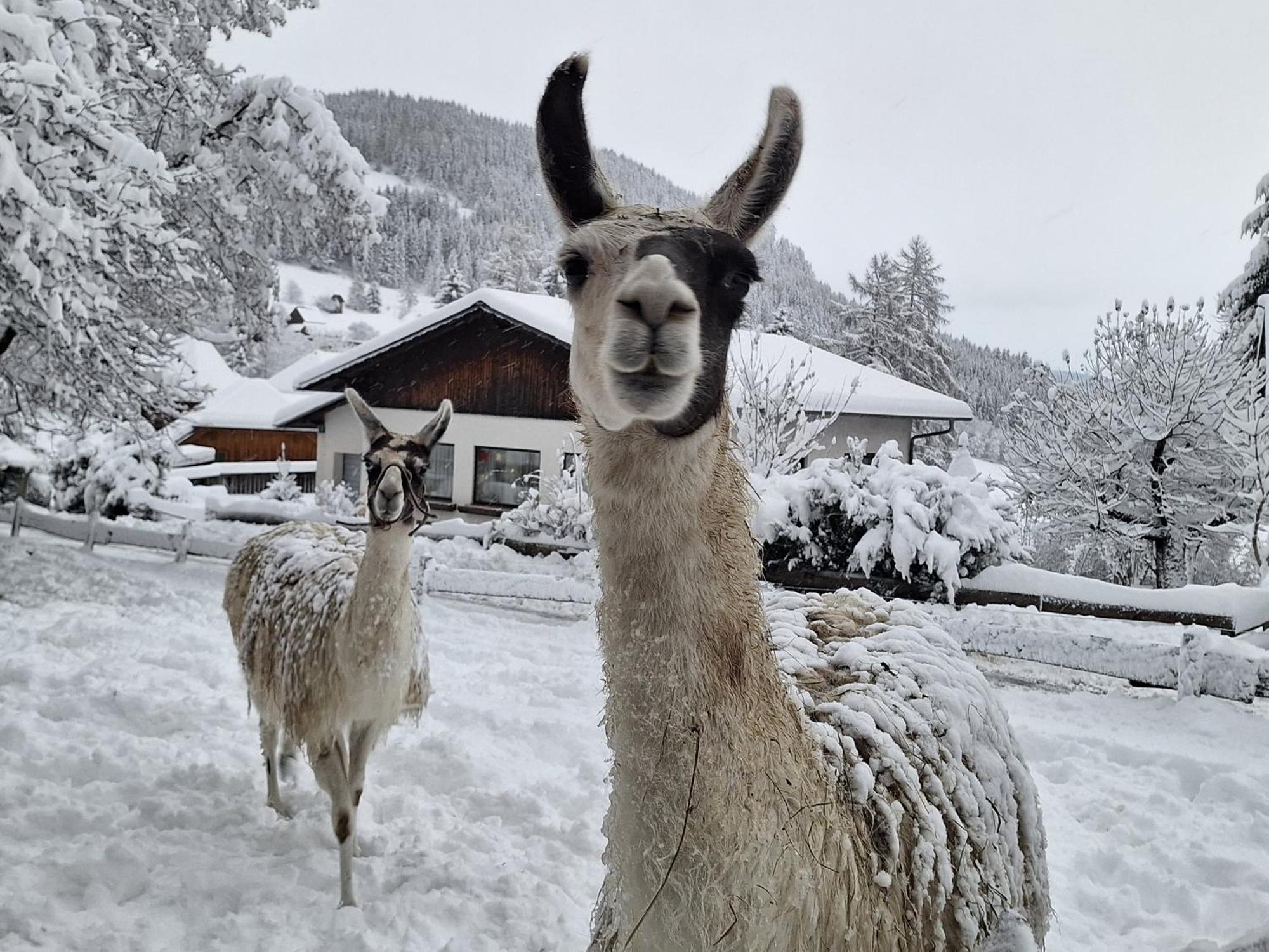 Gasthof Kirchmoar Sankt Blasen Exteriér fotografie